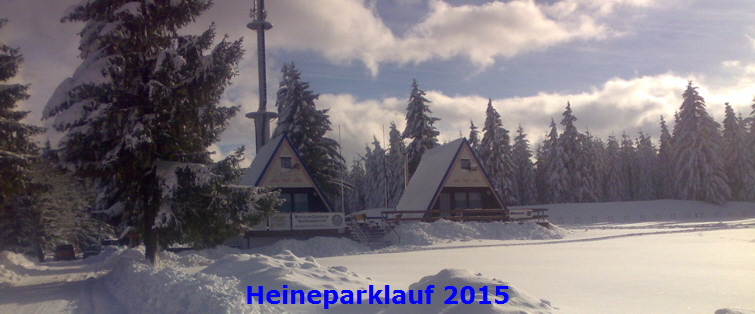Heineparklauf 2015